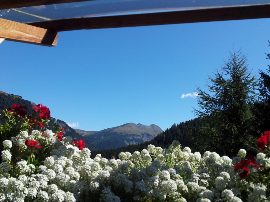 Chalet Belvedere Arabba Room photo